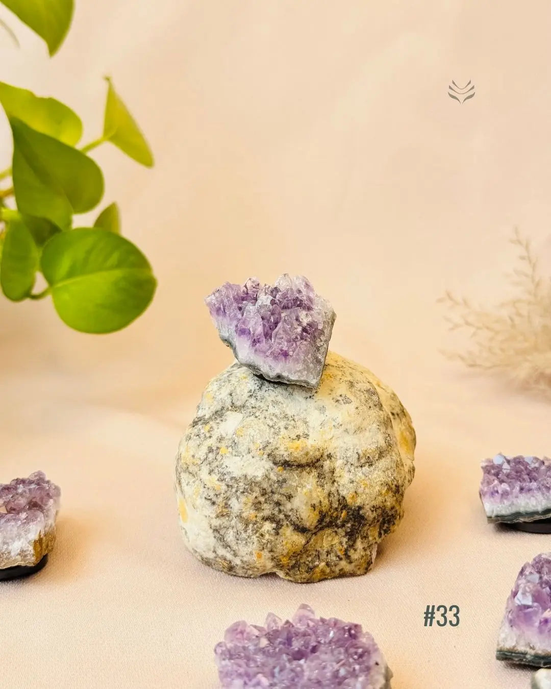 Lightcoded Good Health Fridge Magnets - Amethyst