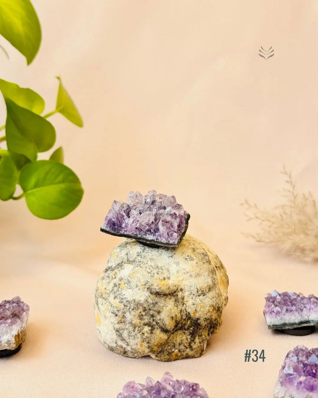 Lightcoded Good Health Fridge Magnets - Amethyst