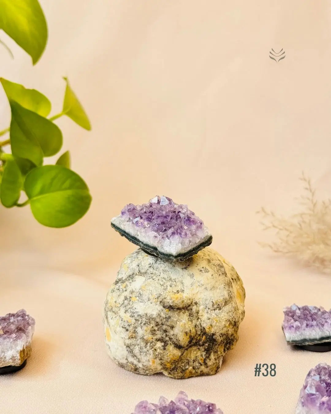 Lightcoded Good Health Fridge Magnets - Amethyst