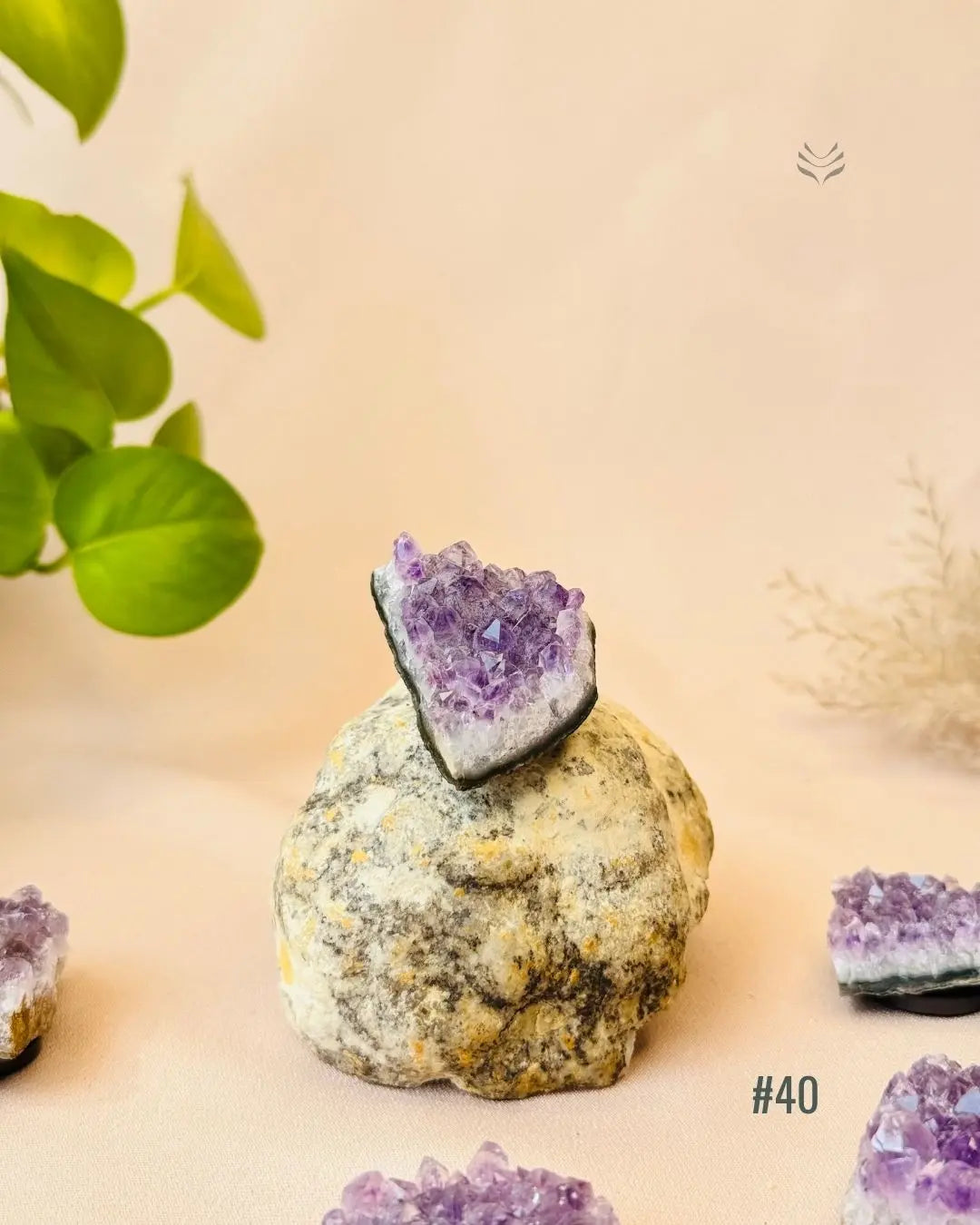 Lightcoded Good Health Fridge Magnets - Amethyst