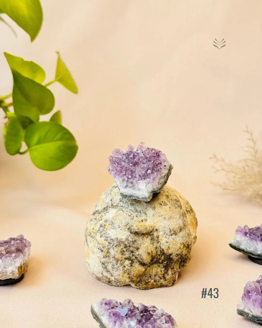 Lightcoded Good Health Fridge Magnets - Amethyst