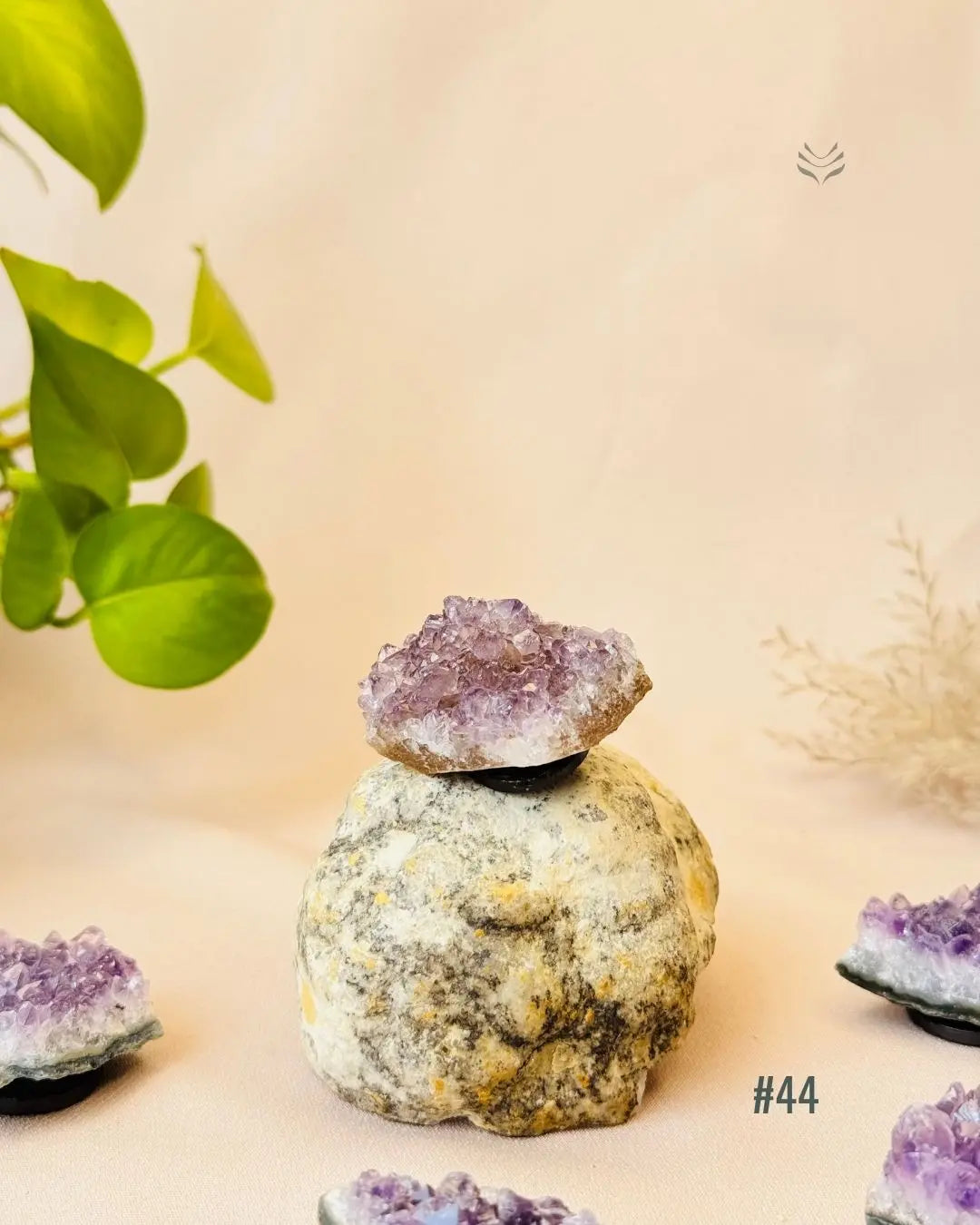 Lightcoded Good Health Fridge Magnets - Amethyst