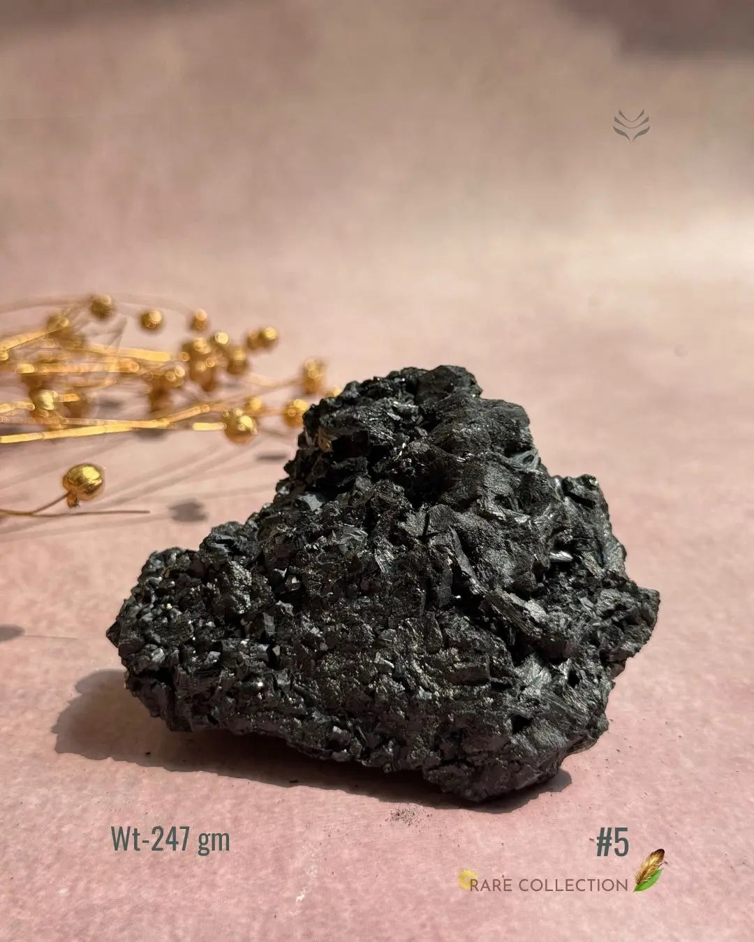 Lightcoded Karmic Wealth Protector Tourmaline