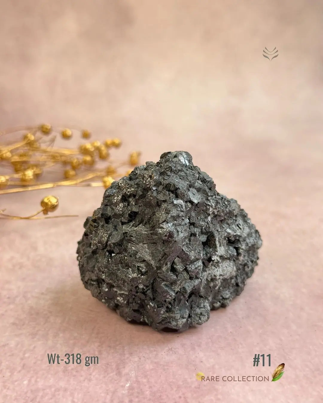 Lightcoded Karmic Wealth Protector Tourmaline