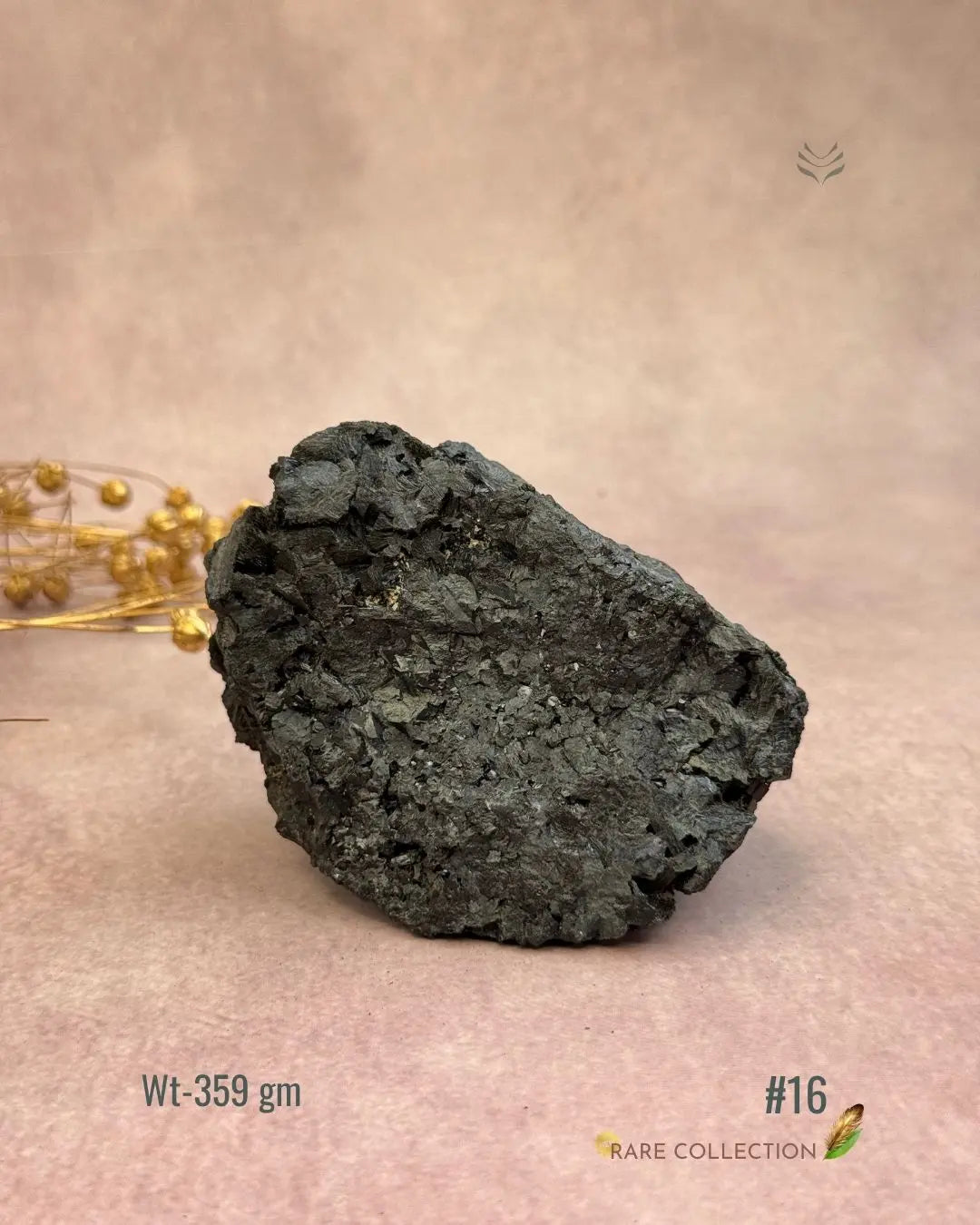 Lightcoded Karmic Wealth Protector Tourmaline