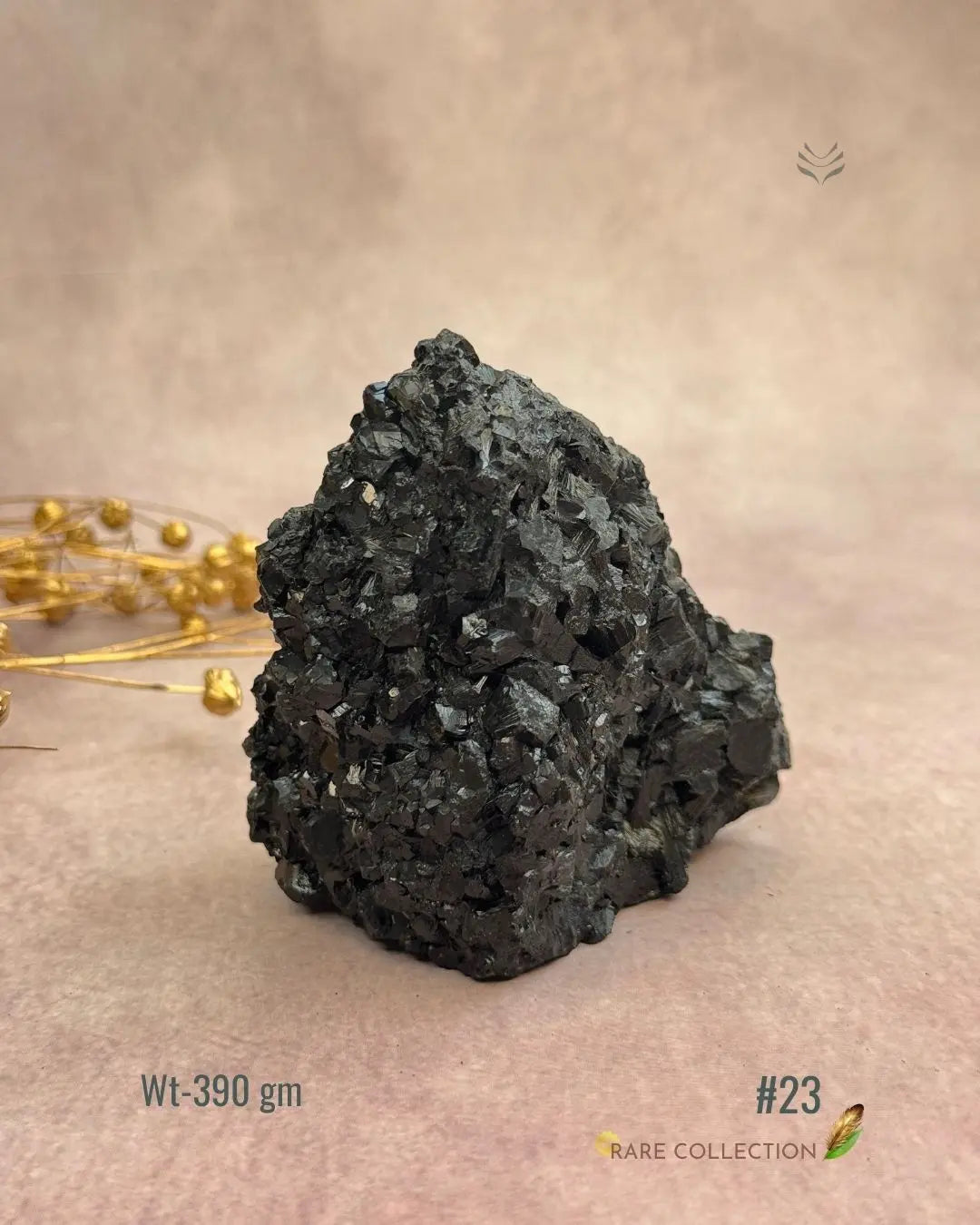 Lightcoded Karmic Wealth Protector Tourmaline