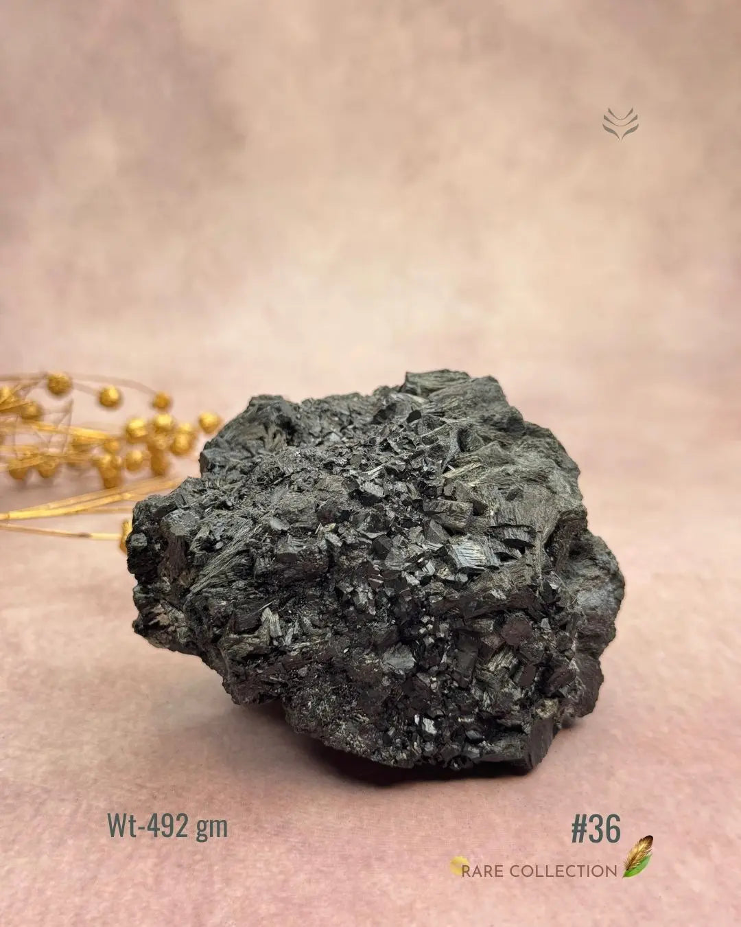 Lightcoded Karmic Wealth Protector Tourmaline