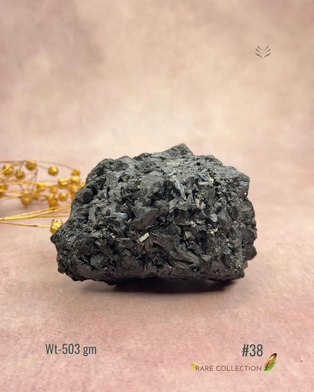 Lightcoded Karmic Wealth Protector Tourmaline