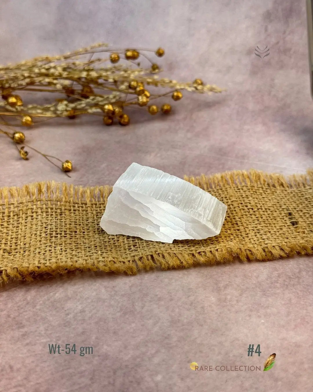 Lightcoded Magnify Wealth Goals Selenite