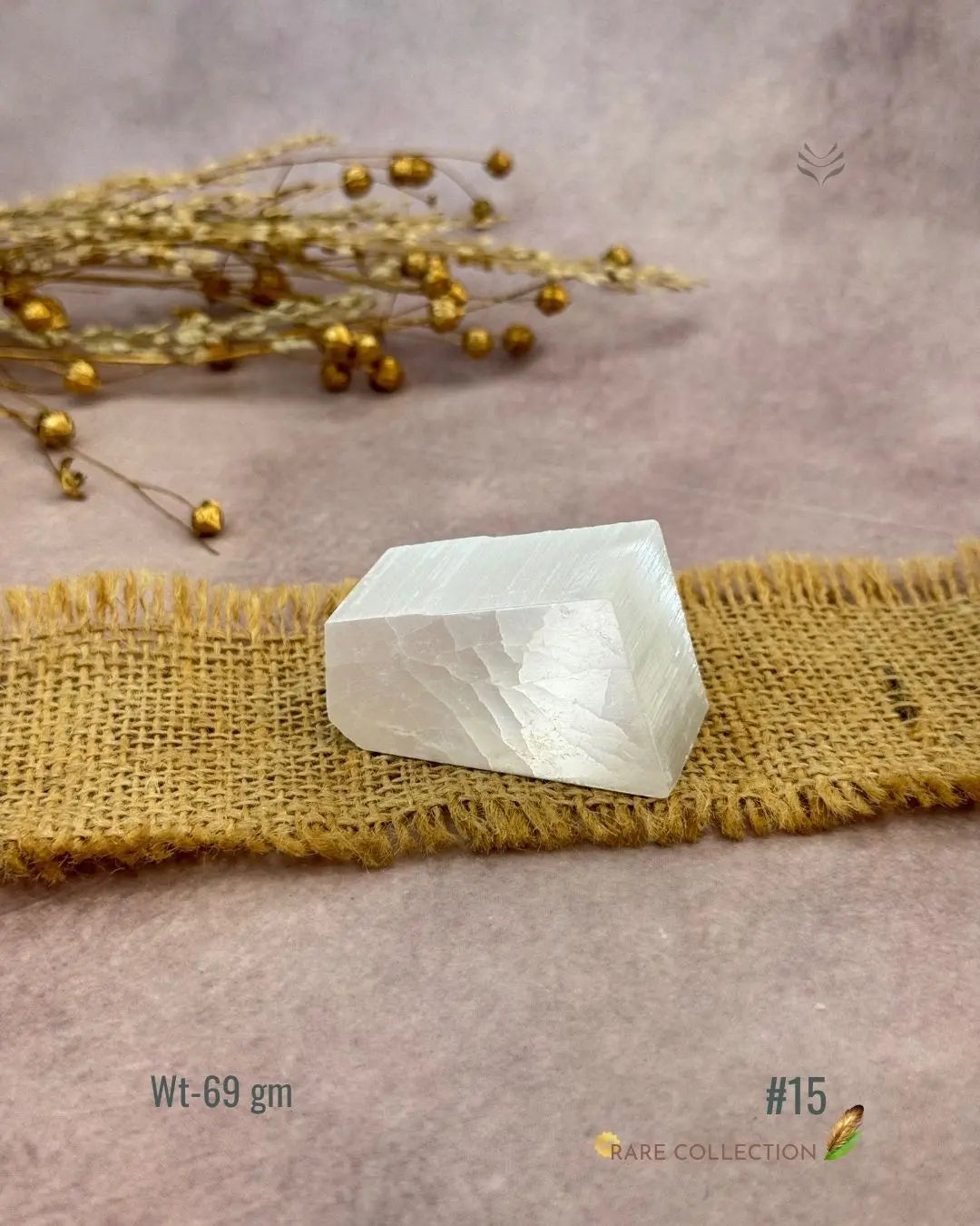 Lightcoded Magnify Wealth Goals Selenite