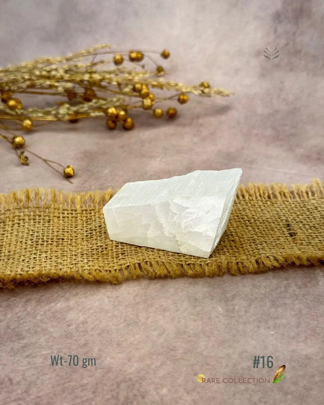 Lightcoded Magnify Wealth Goals Selenite