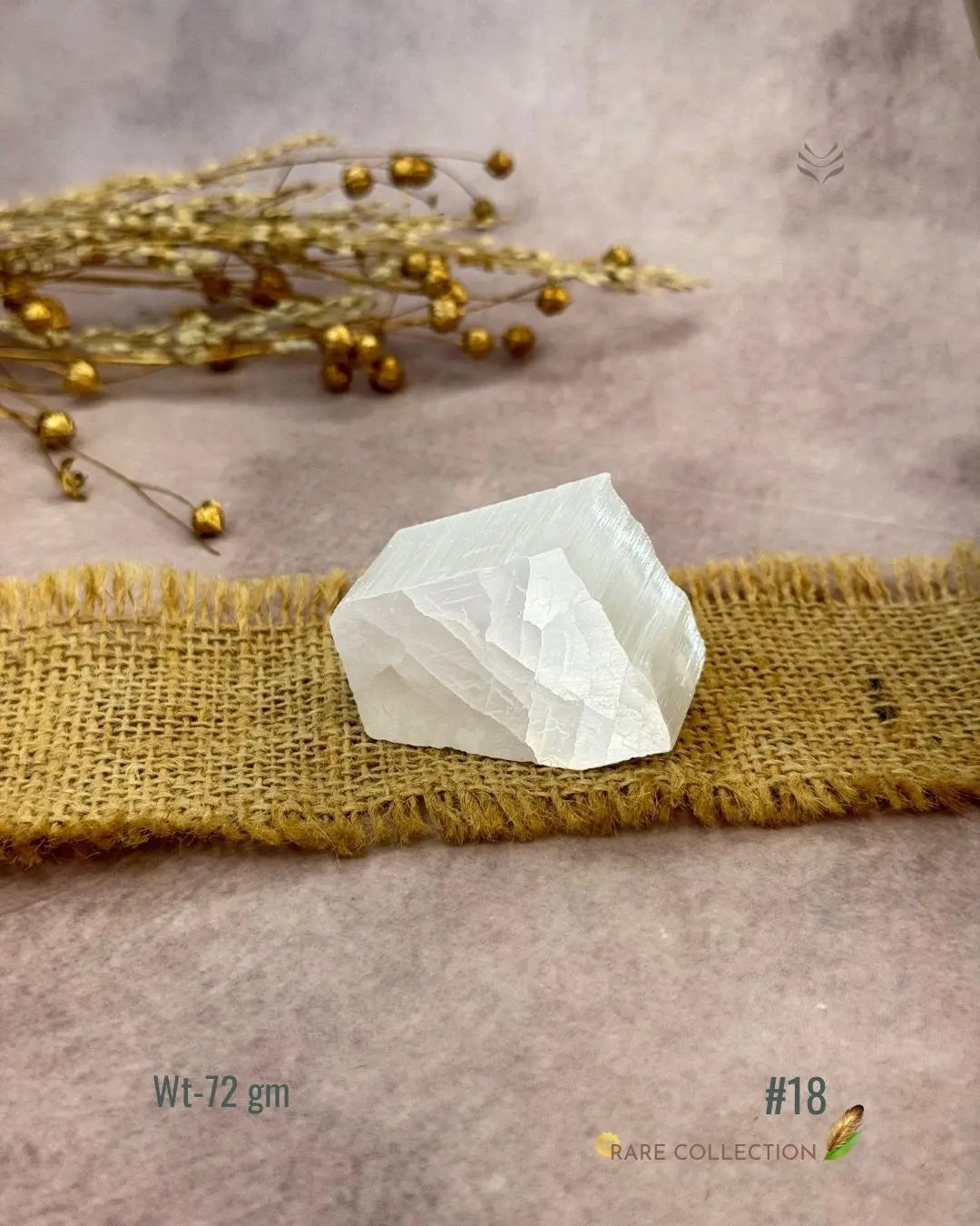 Lightcoded Magnify Wealth Goals Selenite