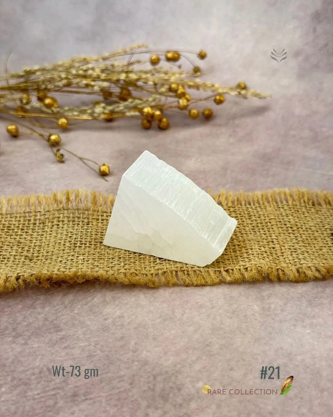 Lightcoded Magnify Wealth Goals Selenite