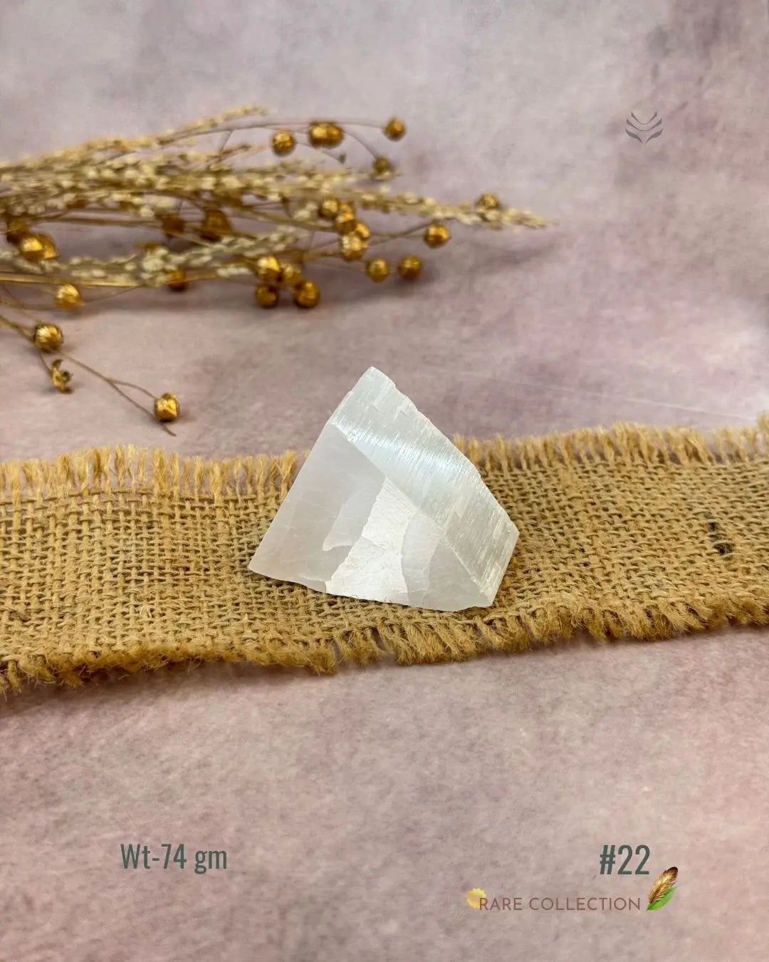 Lightcoded Magnify Wealth Goals Selenite