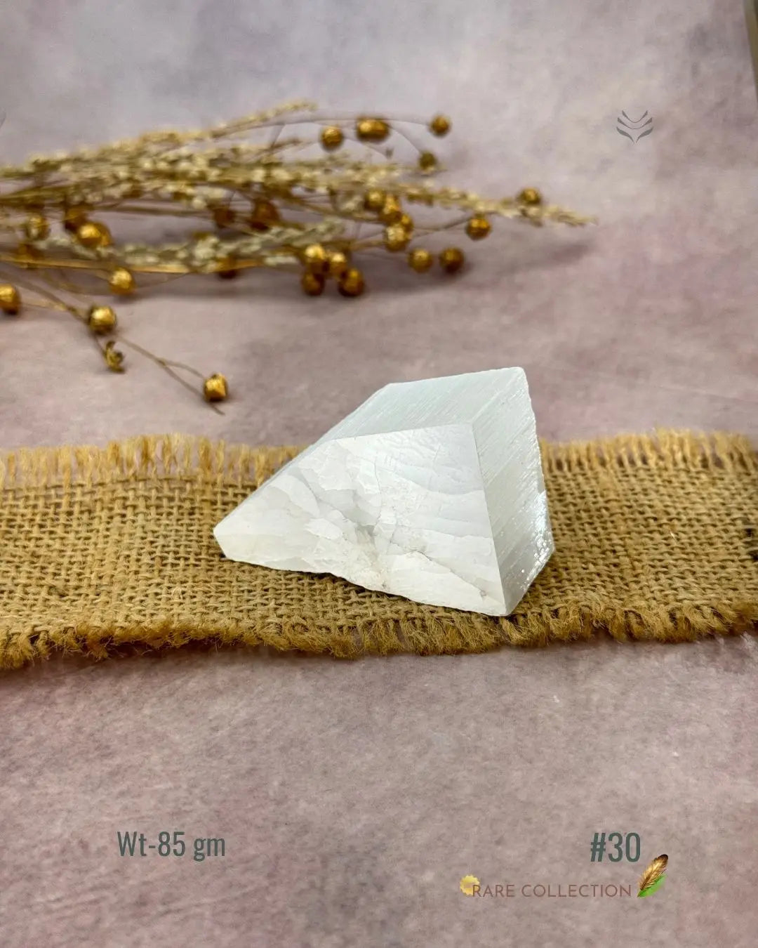 Lightcoded Magnify Wealth Goals Selenite