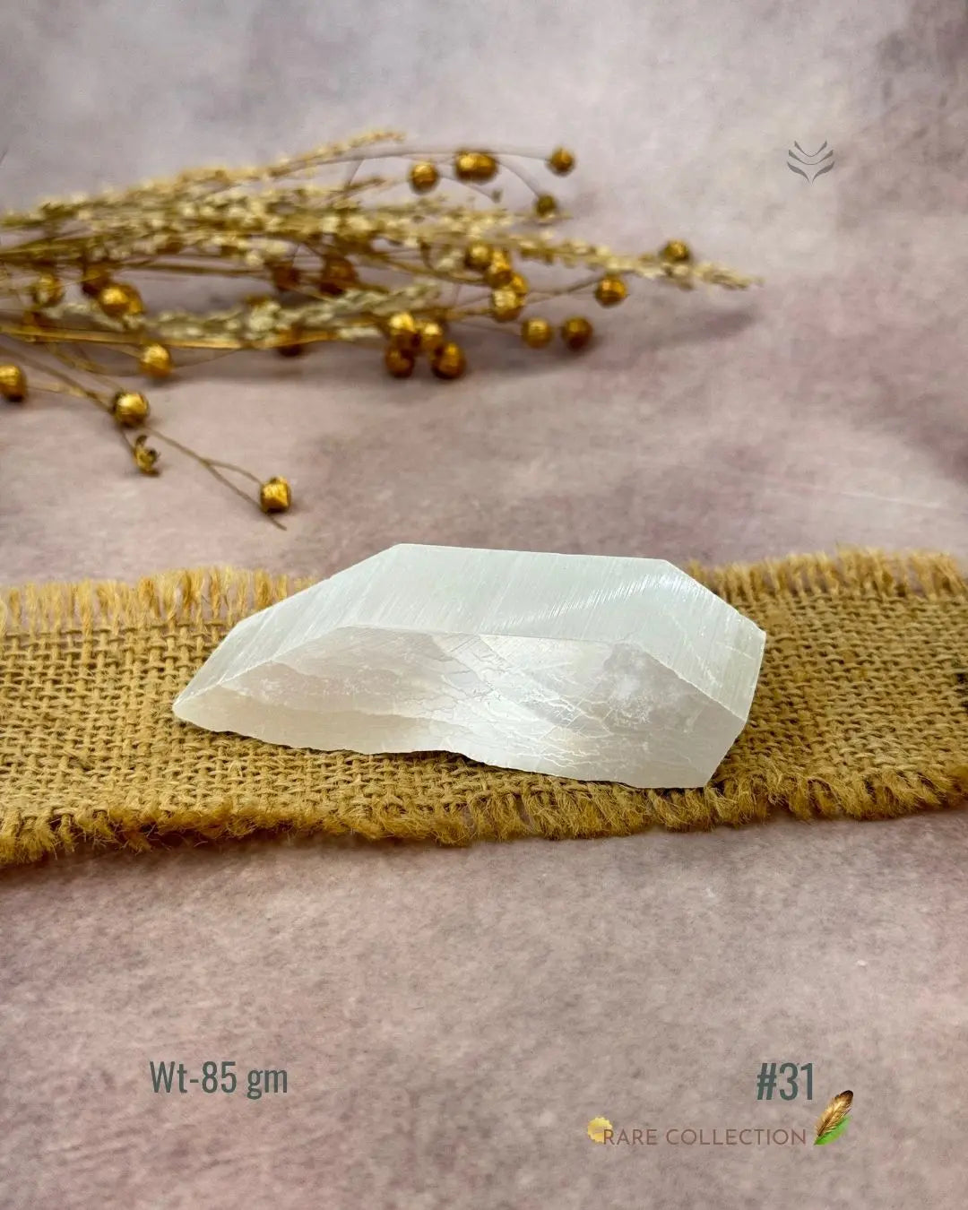 Lightcoded Magnify Wealth Goals Selenite