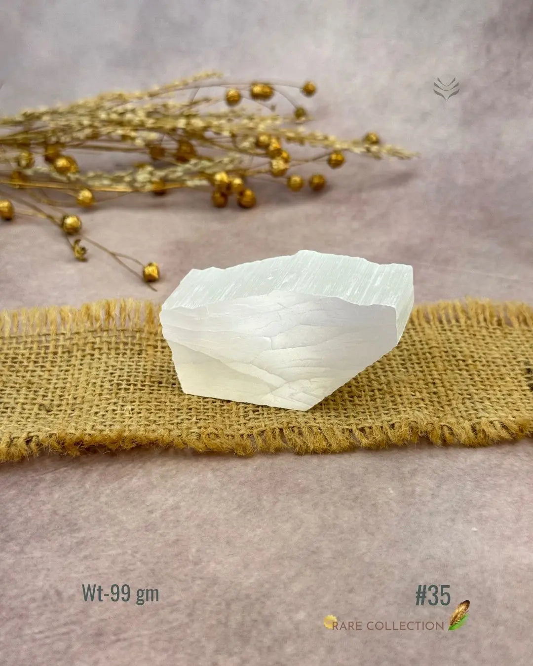 Lightcoded Magnify Wealth Goals Selenite