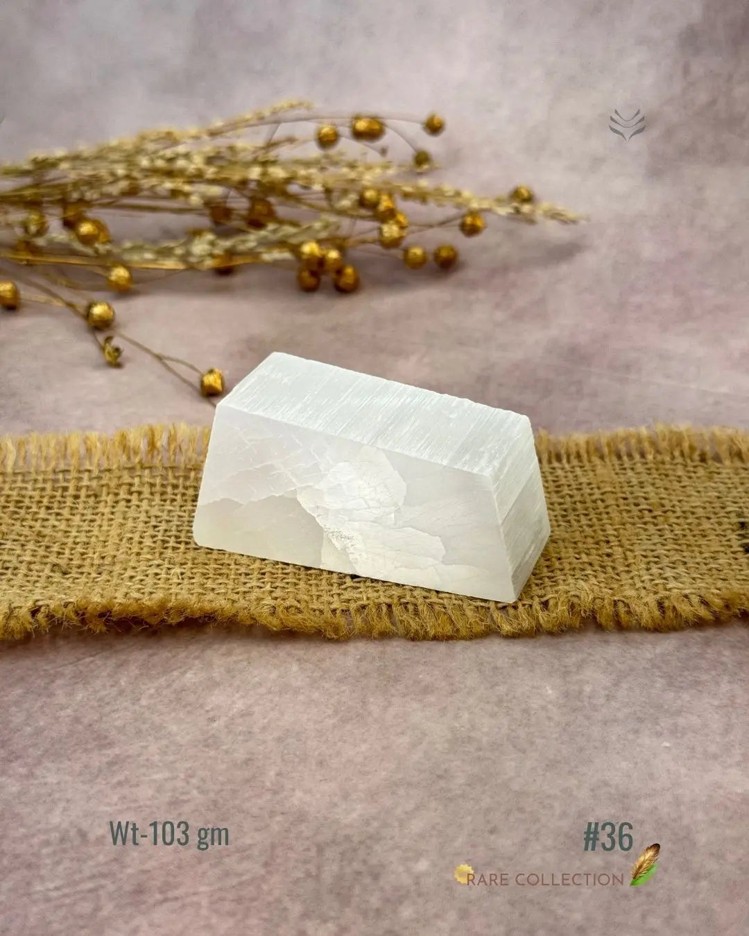 Lightcoded Magnify Wealth Goals Selenite