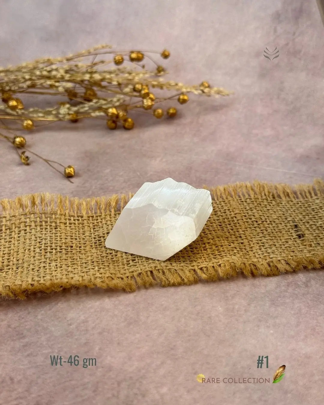 Lightcoded Magnify Wealth Goals Selenite