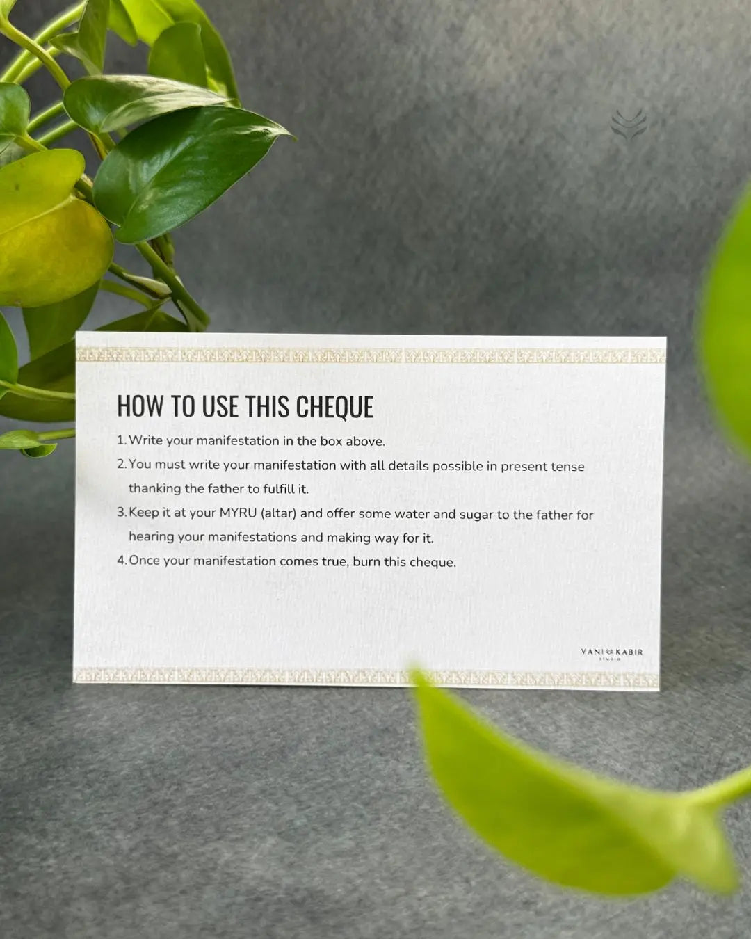 Lightcoded Manifest with Father Solen Cheque