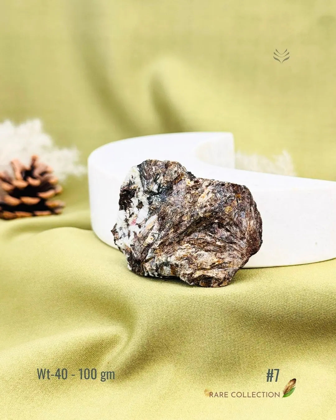 Lightcoded Mini Magick Astrophyllite