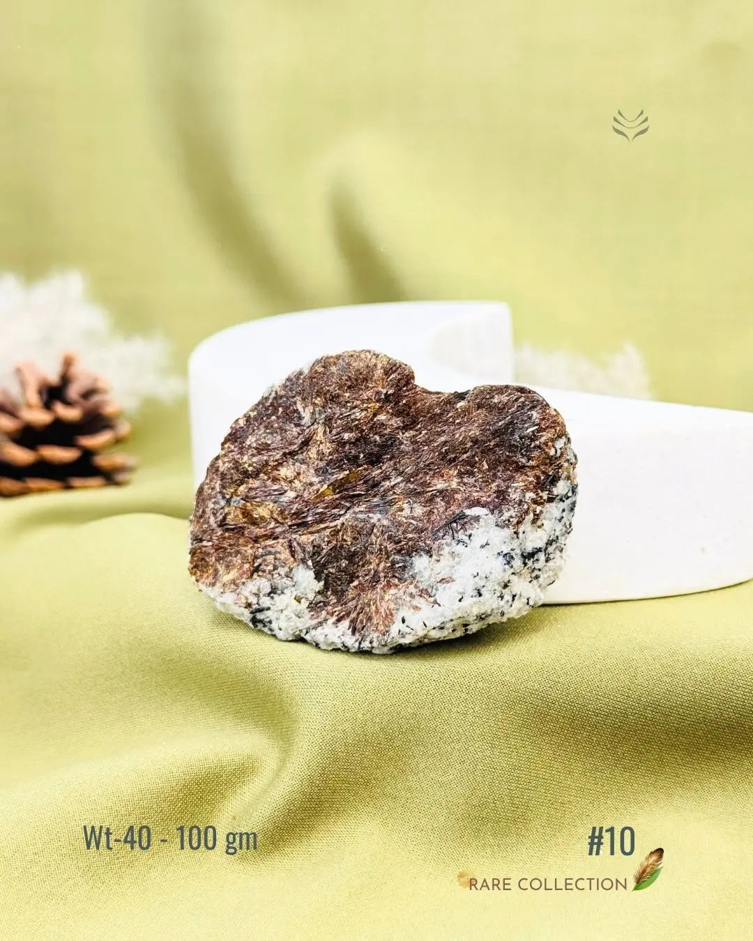 Lightcoded Mini Magick Astrophyllite