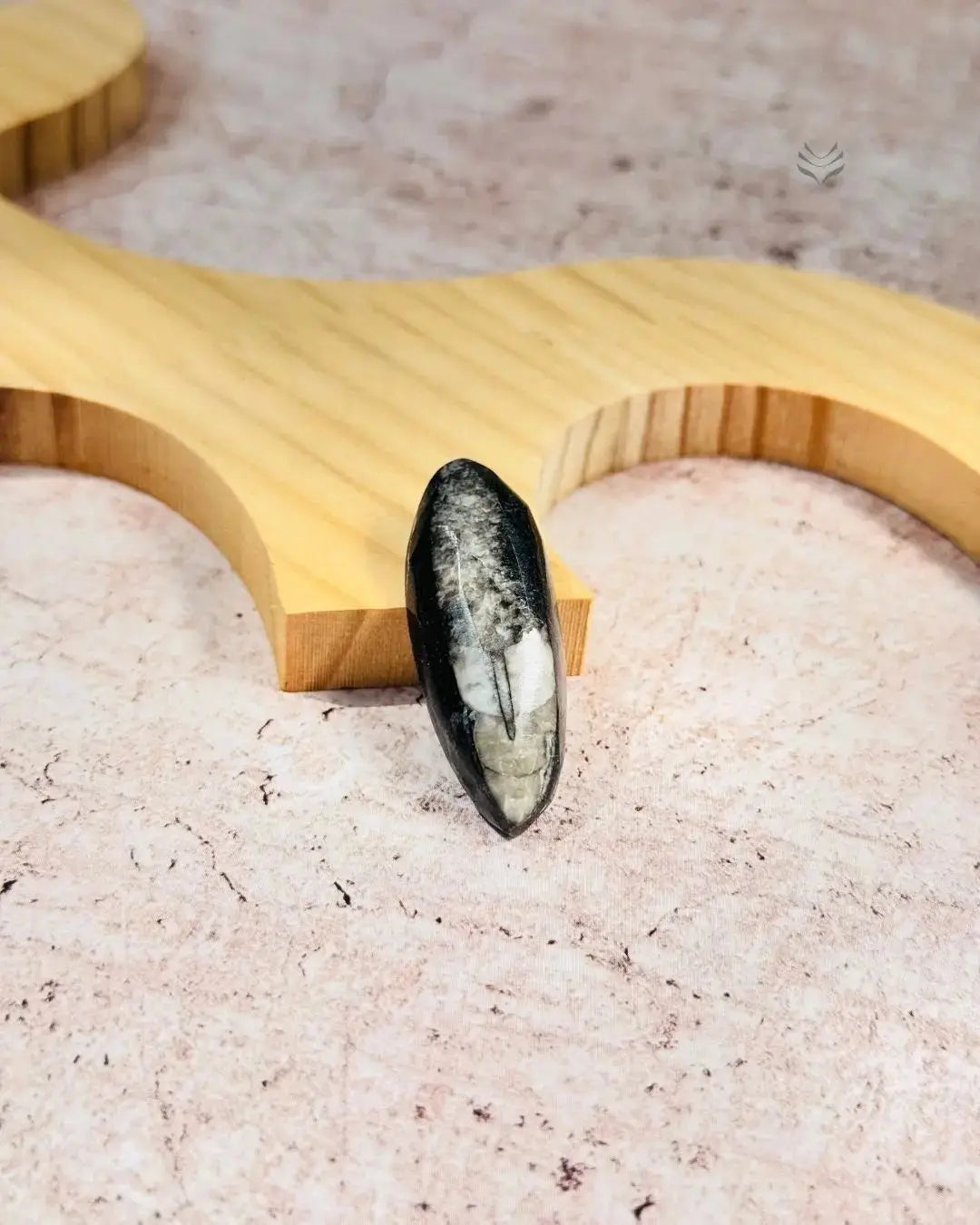 Lightcoded Orthoceras - The Kuber Stone (Big)