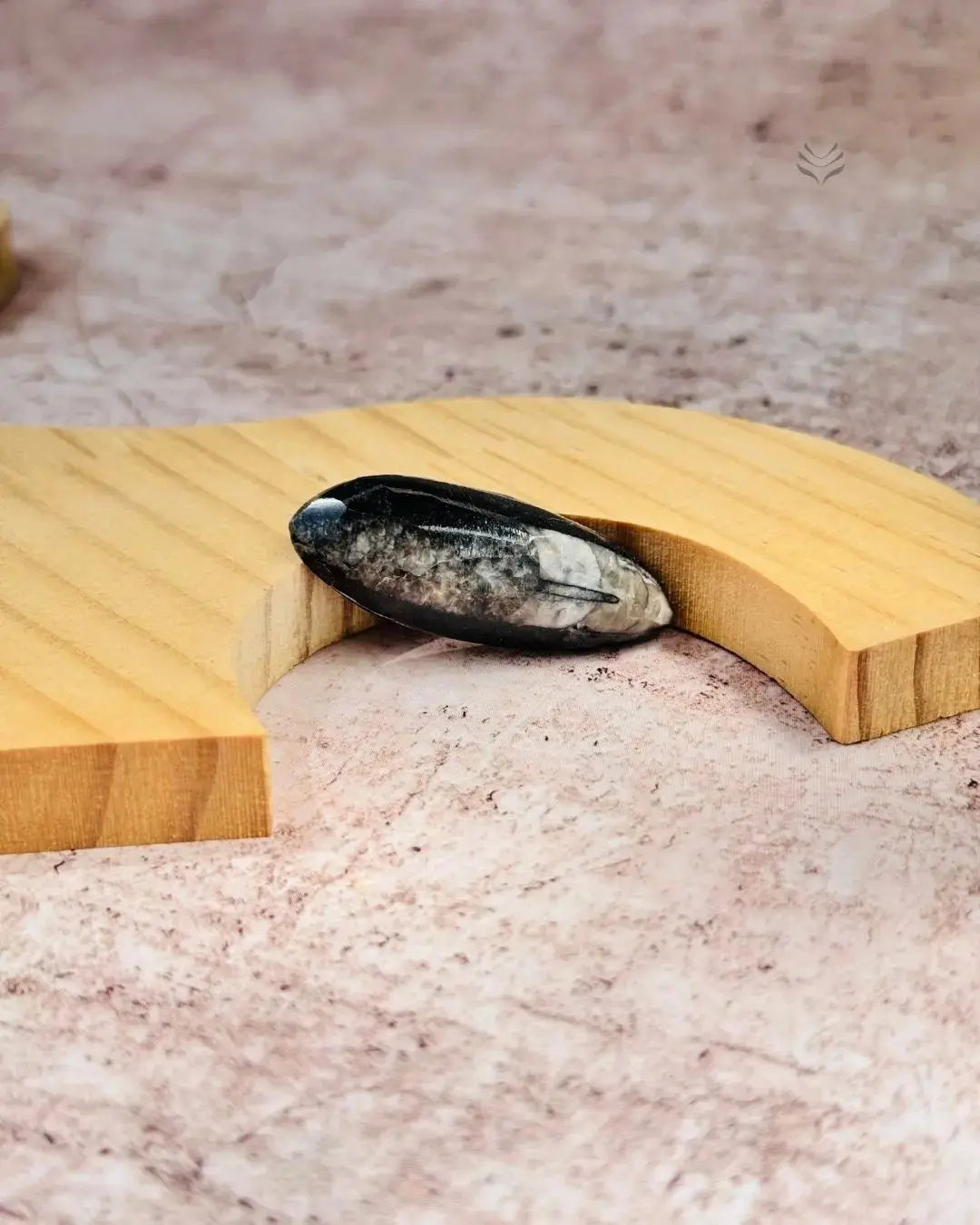 Lightcoded Orthoceras - The Kuber Stone (Big)