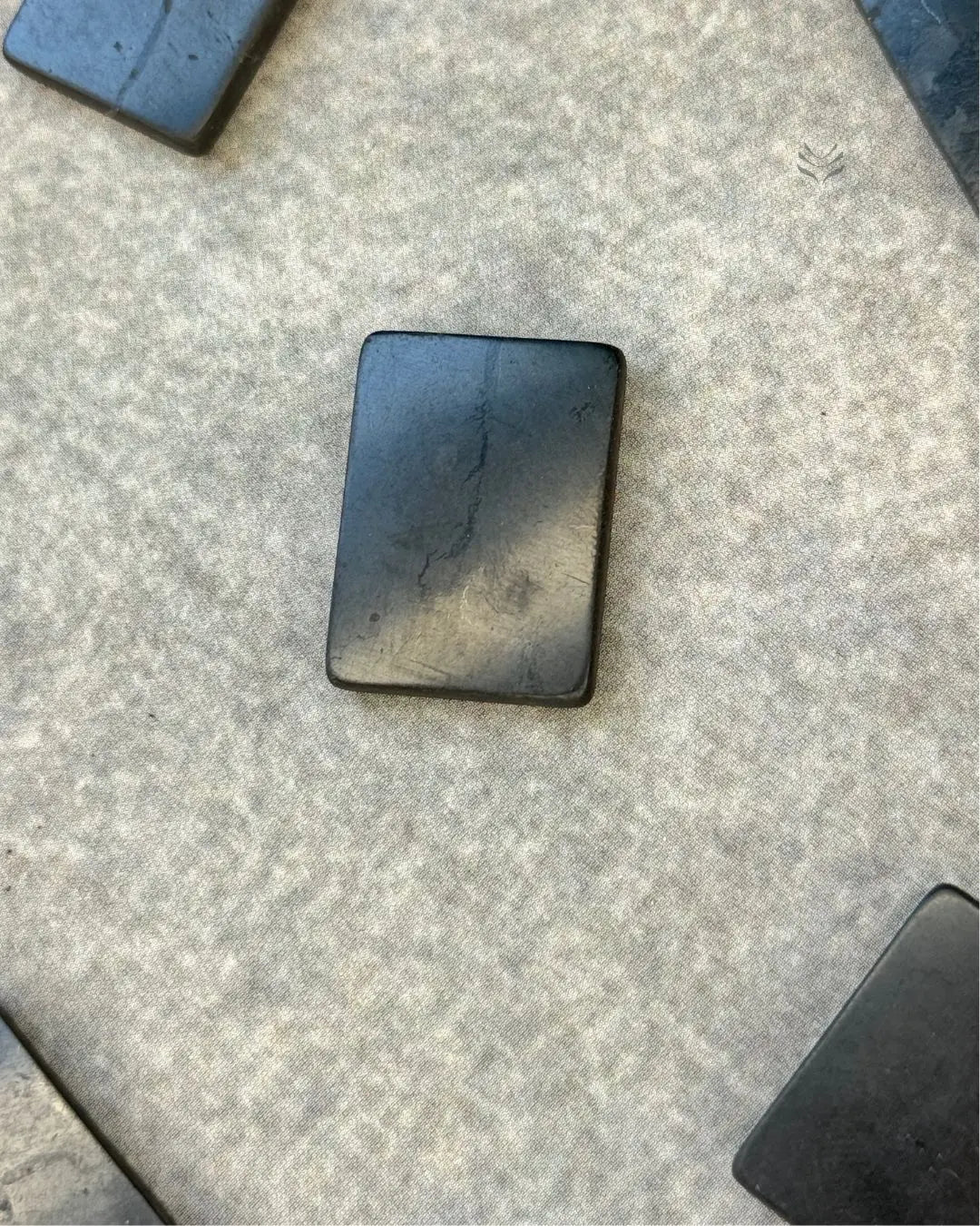 Lightcoded Shungite Chip