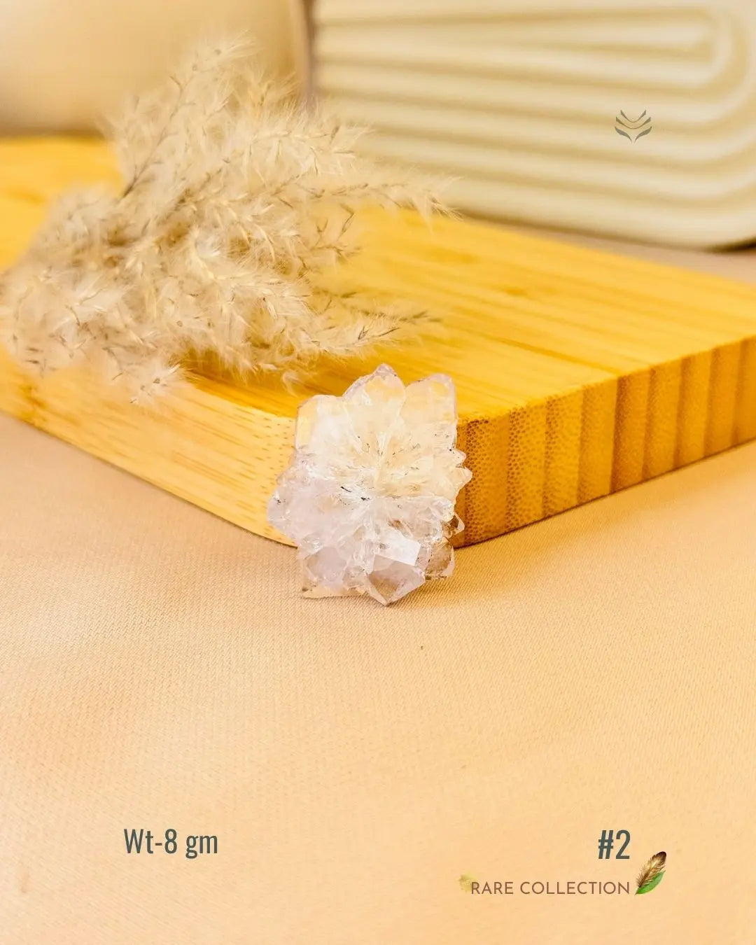 Lightcoded Top the Fame - Stalactite