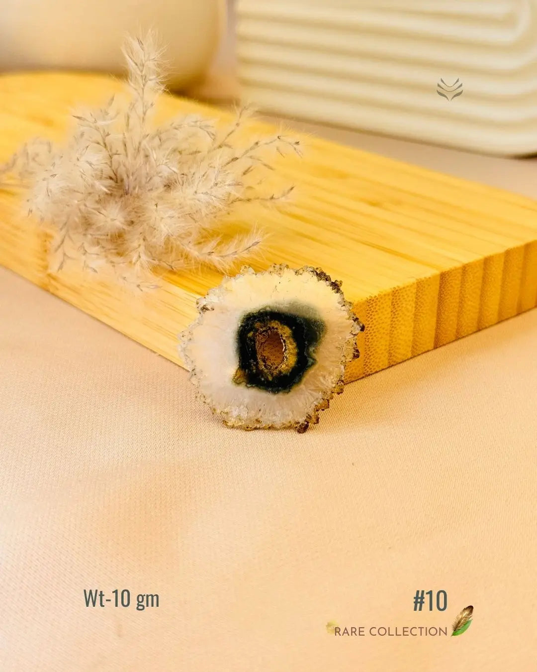 Lightcoded Top the Fame - Stalactite