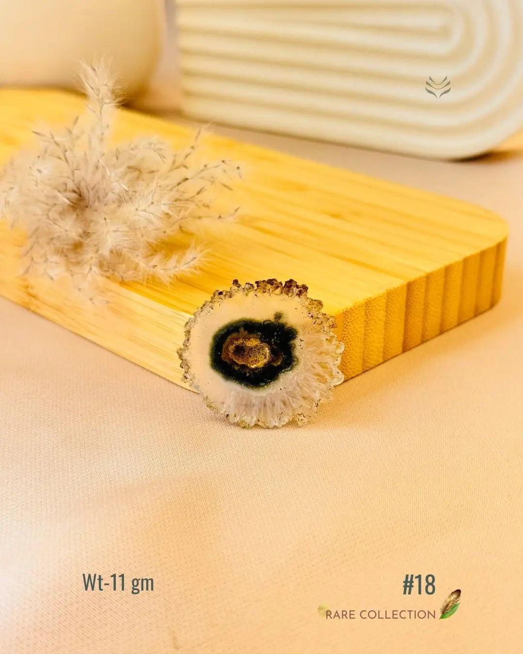 Lightcoded Top the Fame - Stalactite