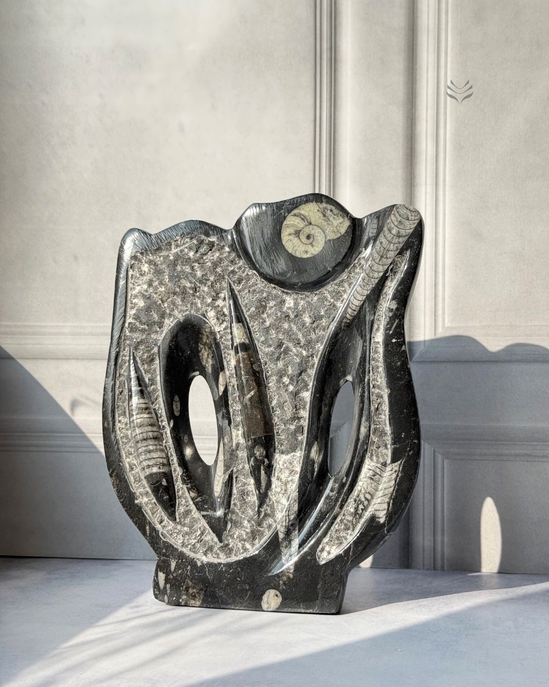 Multiply Money Fossil