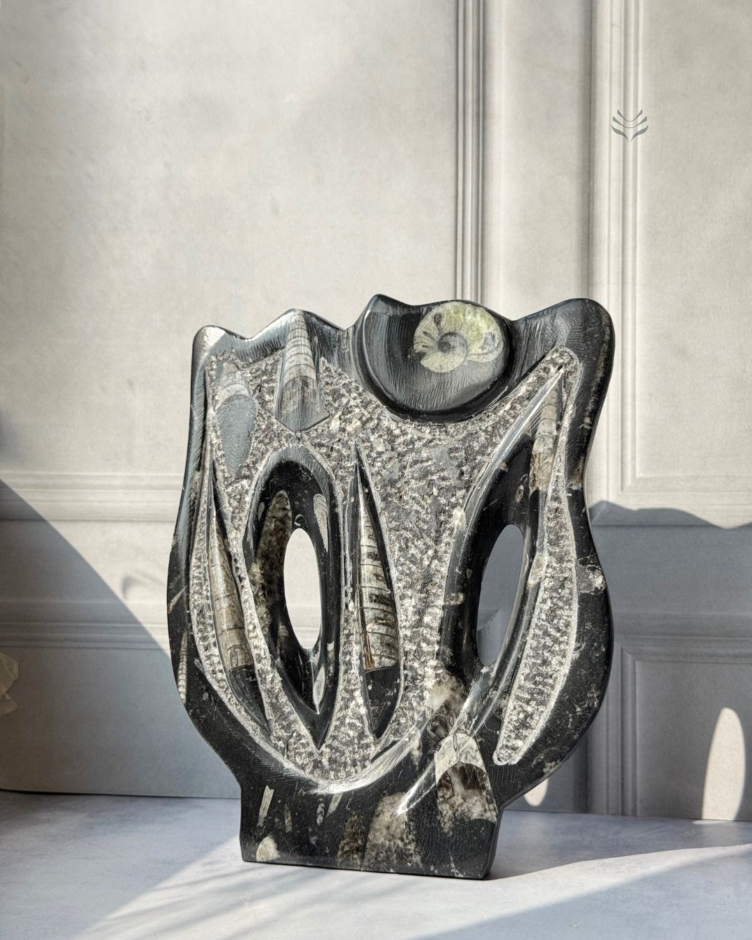 Multiply Money Fossil