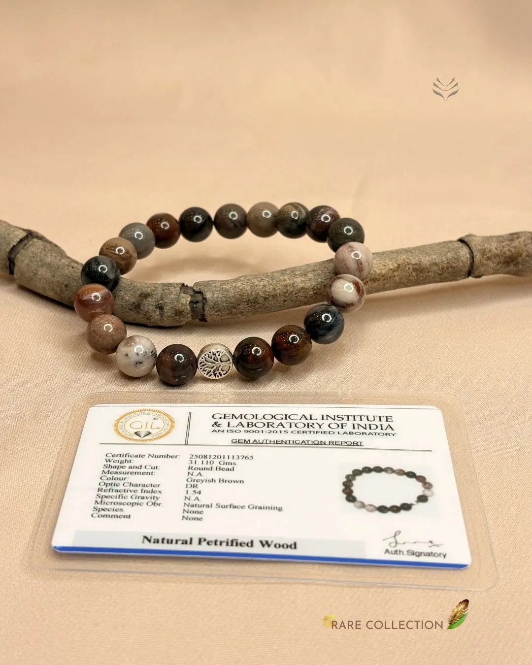 Ancestral Healer Petrified Wood Bracelet