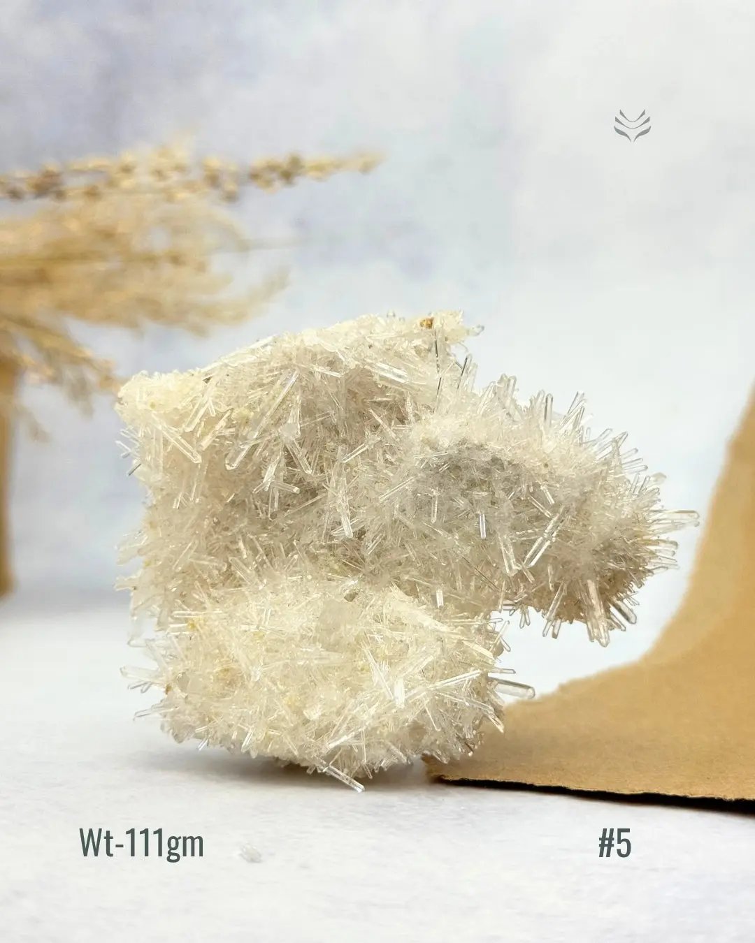 NEEDLE QUARTZ FOR REMOVING EVIL ENERGIES