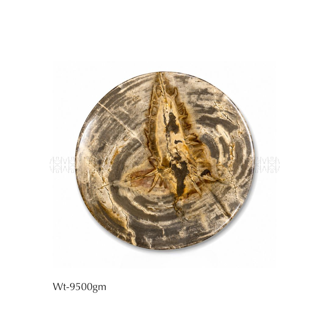 Growth Altar Petrified Wood Base