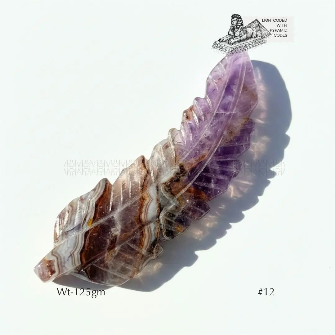 Shamanic Magick #1