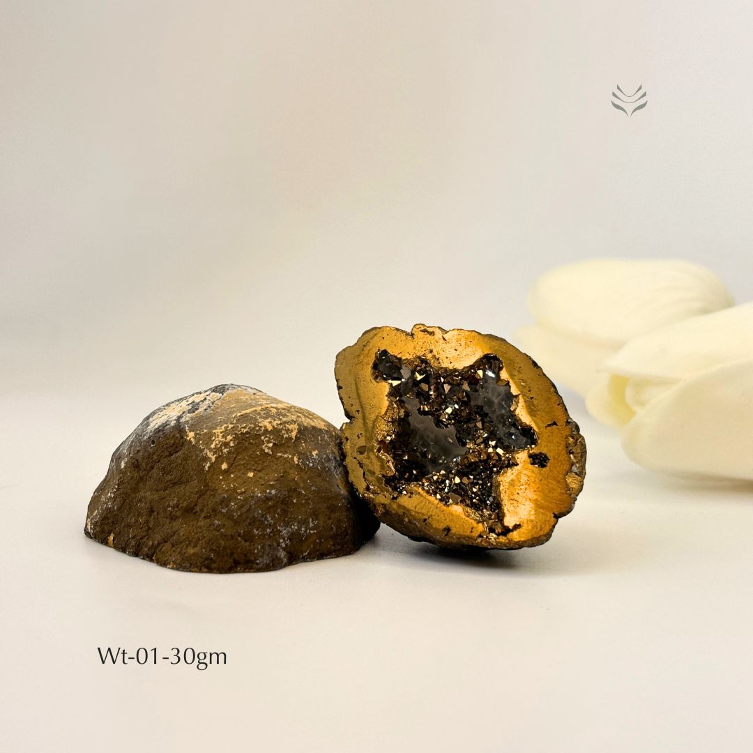 Golden Pyrite Geode for Wealth & Manifestation