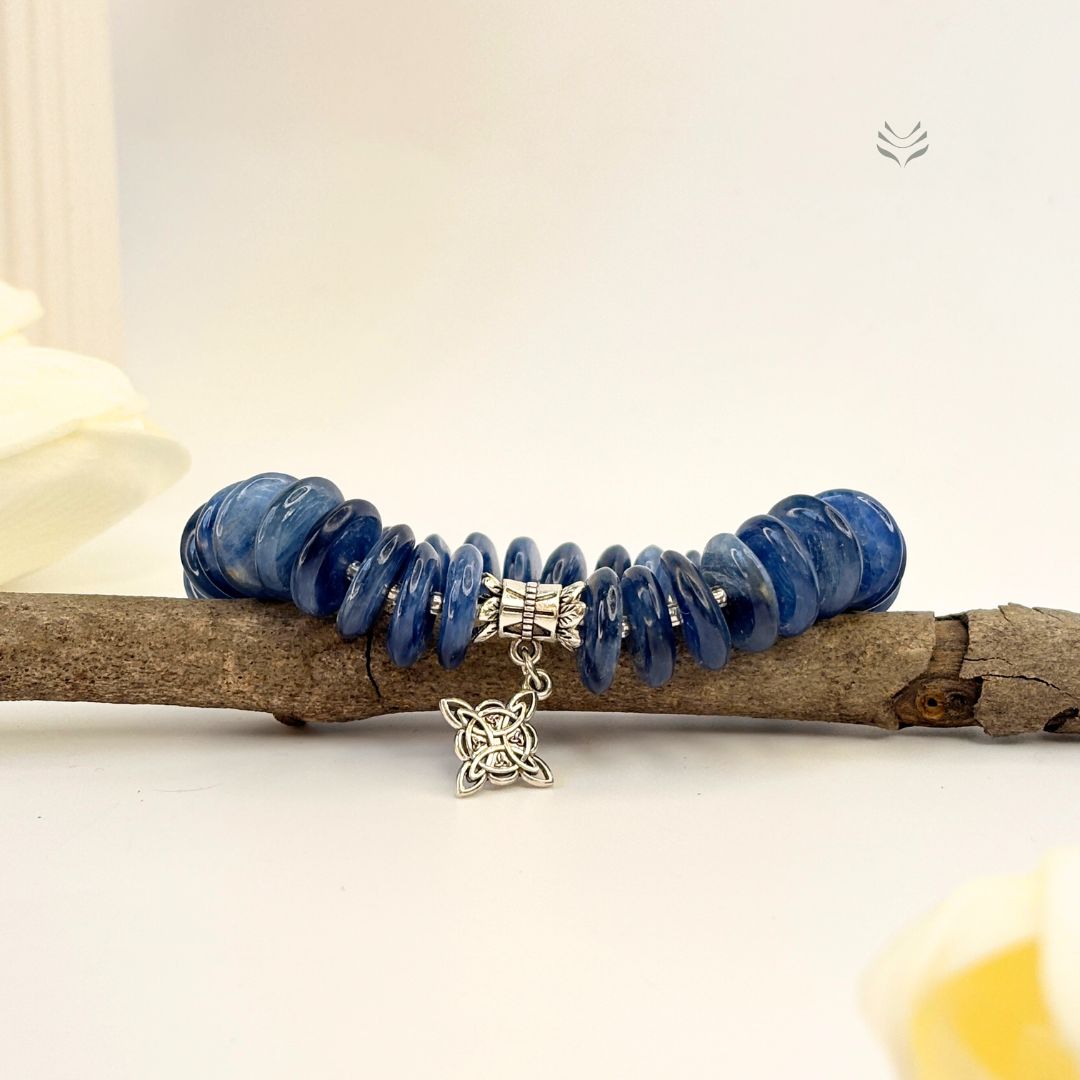 Take The Lead Kyanite Disc Bracelet 12mm