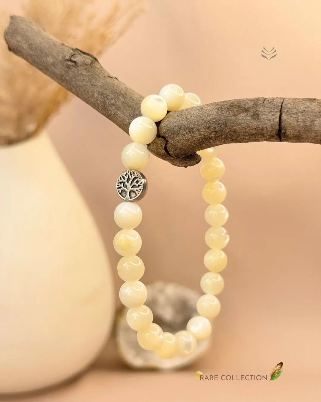 Trochus Shell Bracelet