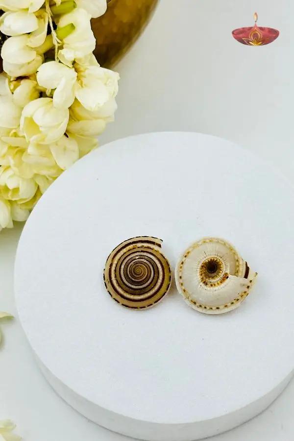 Sundial Shells