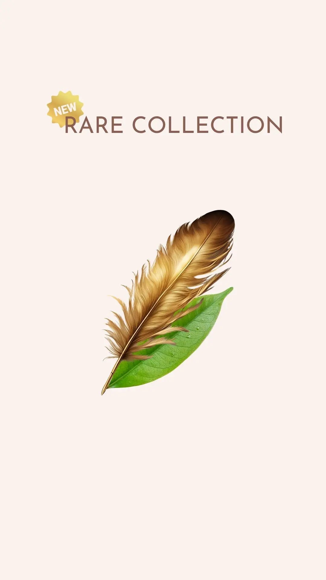 Rare-Collection-image-banner