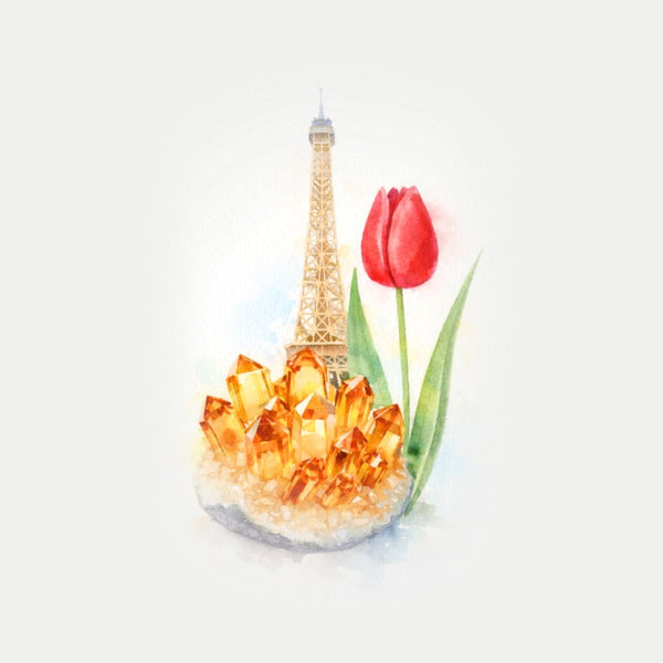 Europe-Collection Vani Kabir Studio