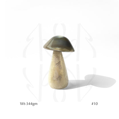 Money Mushroom