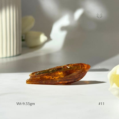 Ancient Amber Tumble