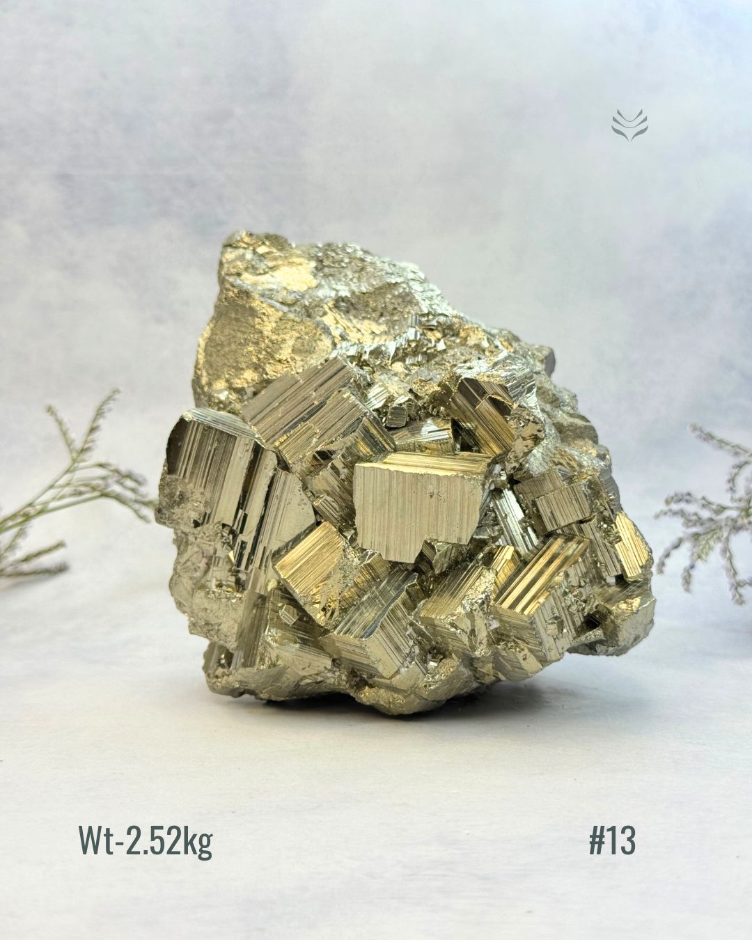 New Wealth attractor Iron Pyrite Cluster