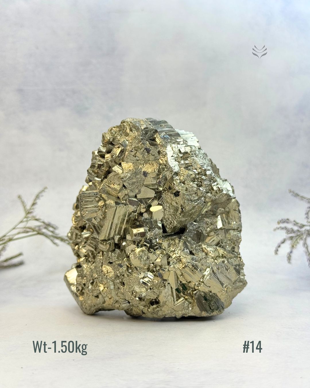 New Wealth attractor Iron Pyrite Cluster