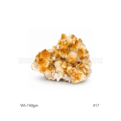 Cash Flow Citrine Cluster 