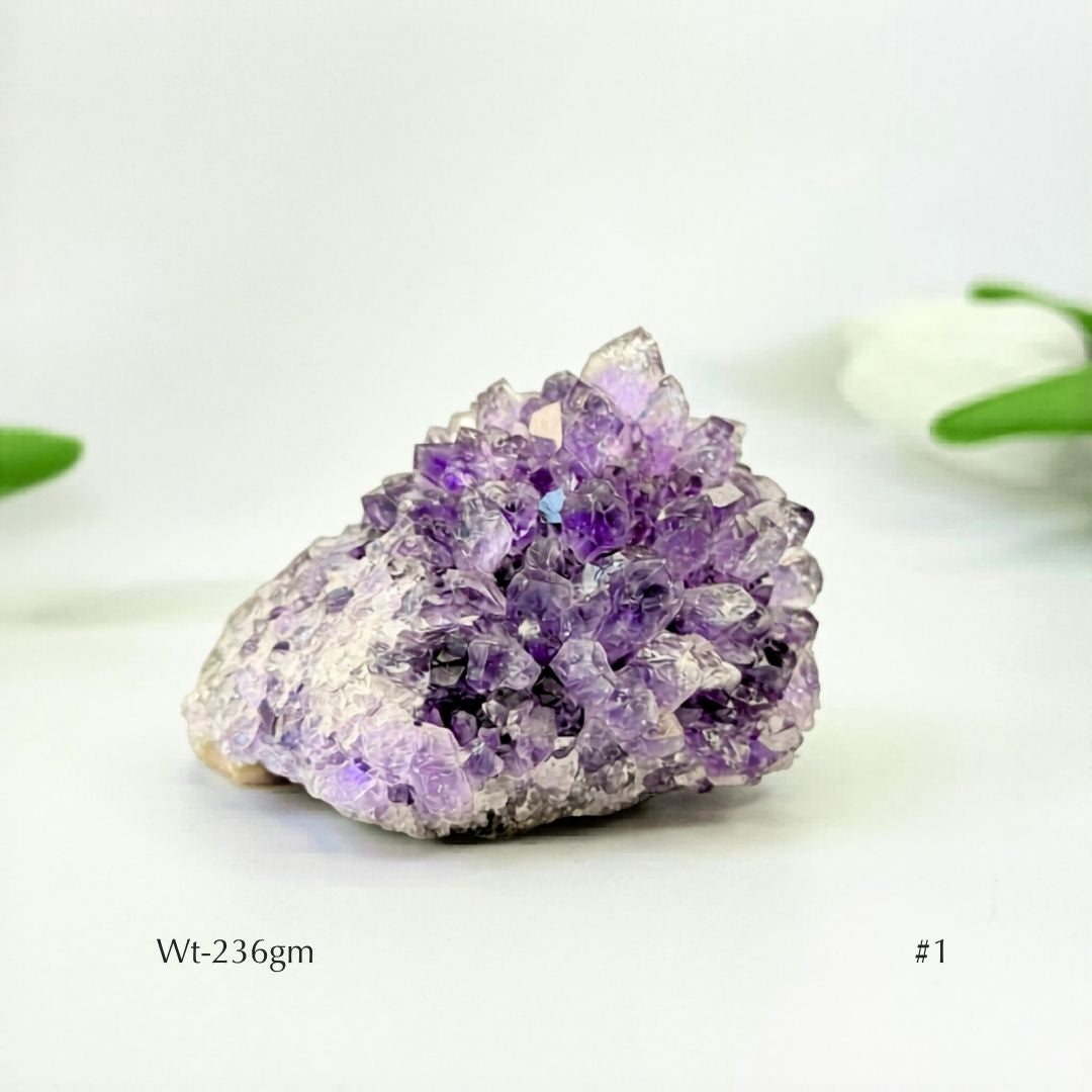 Collector's Piece Amethyst Flower Cluster